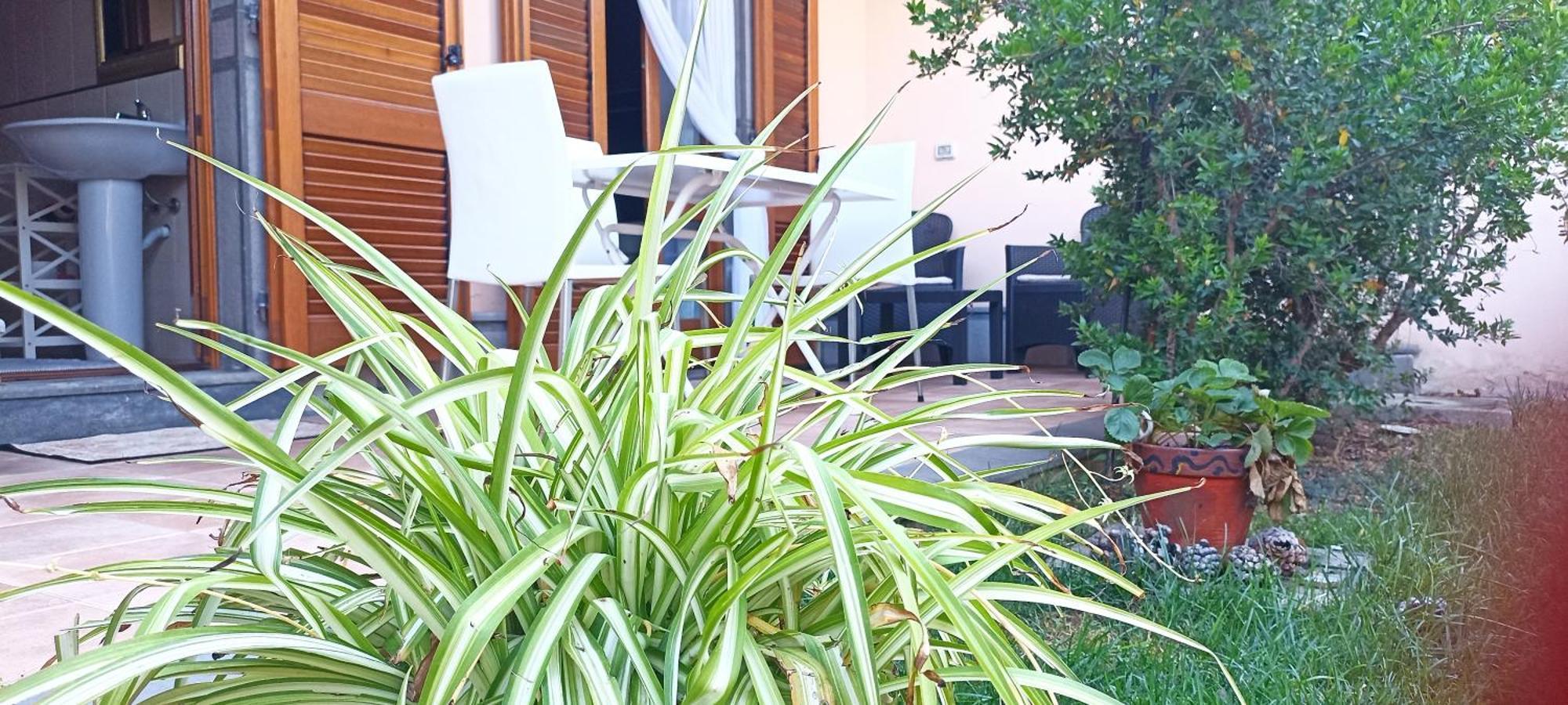 Апартаменты Casa Lilla 1 E 2 Ористано Экстерьер фото